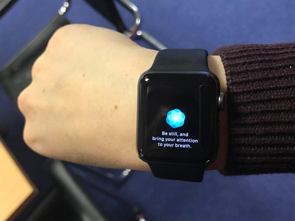 Heart rate app from Apple iWatch