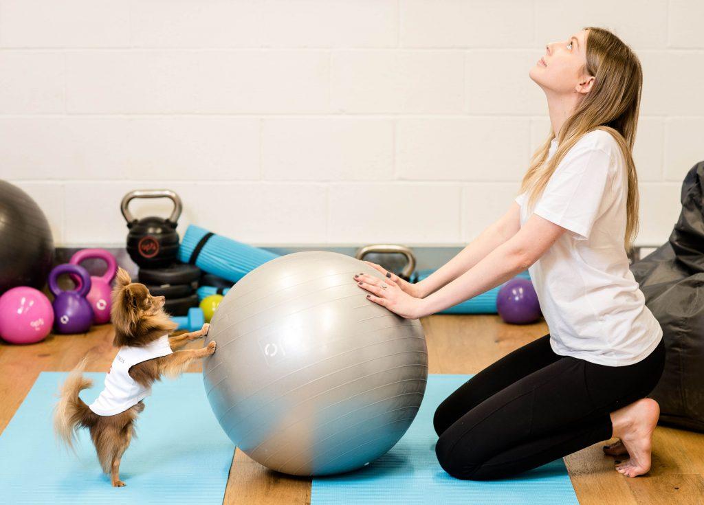 Pet-cercise, exercising with your pets at the ultimate 'him from home' gym,